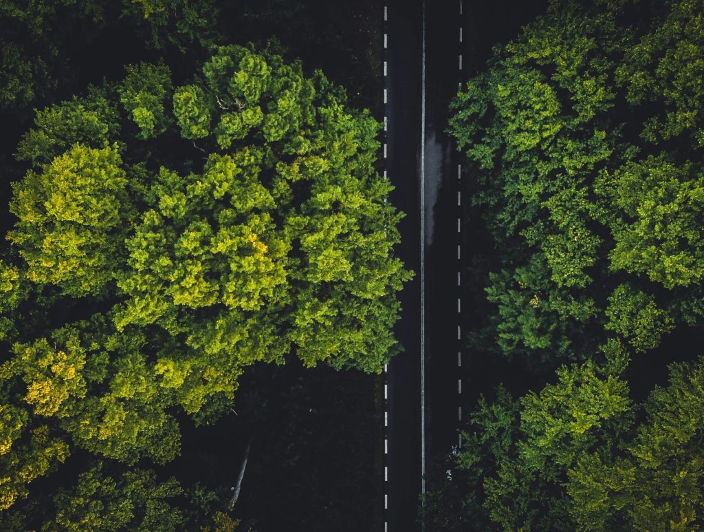 Straight road next to green trees as the UK government announces the inaugural meeting of a new AI Energy Council aimed at ensuring the nation's AI and clean energy goals work in tandem to drive economic growth while supporting its commitment to advancing compute infrastructure projects and attracting private investment.